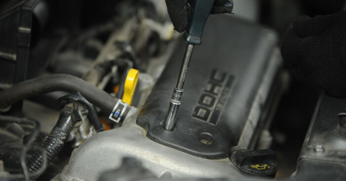 How to remove SUZUKI IGNIS 1.5 (RM415) 2007 Spark Plug - online easy-to-follow instructions