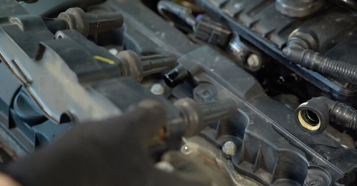 Sostituzione Candele di accensione GPL e benzina su Peugeot 206 Sedan 1.4 HDi eco 70 2013 - scarica la guida illustrata