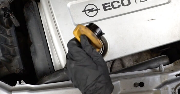 Tee se itse -vaihto: VAUXHALL Ampera (R12) 1.4 EV 150 2013 -auton Öljynsuodatin - online-opas