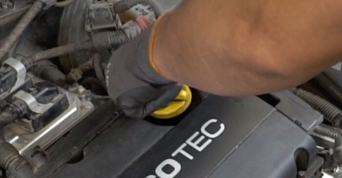 How to change Oil Filter on Zafira C P12 2011 - free PDF and video manuals