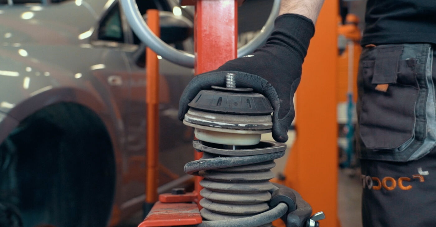 Need to know how to renew Springs? This free workshop manual will help you to do it yourself