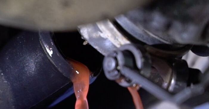 How to remove OPEL VECTRA 1.6 i (F19, M19) 1992 Thermostat - online easy-to-follow instructions