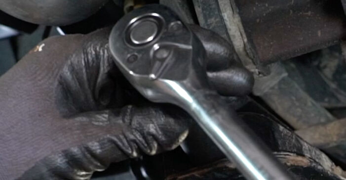 Replacing Control Arm on SEAT Alhambra 7M 2006 1.9 TDI by yourself