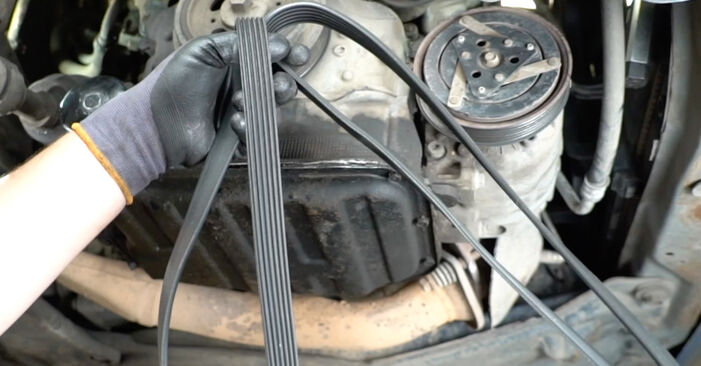 How to remove NISSAN PRIMERA 1.6 2006 Poly V-Belt - online easy-to-follow instructions