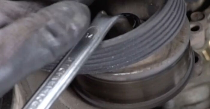 Need to know how to renew Poly V-Belt on NISSAN PRIMERA 2009? This free workshop manual will help you to do it yourself