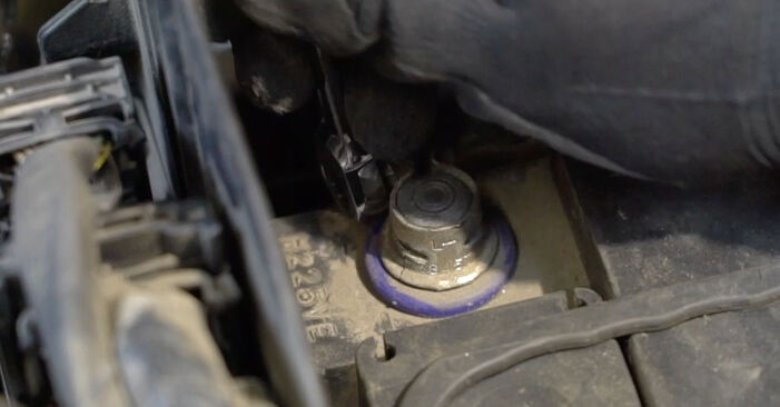Changing Thermostat on PEUGEOT 207 SW (WK_) 1.4 2010 by yourself