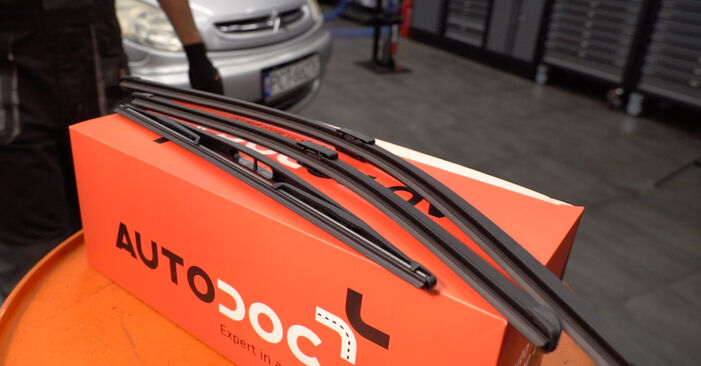 Wie man Scheibenwischer beim Peugeot 206+ 2009 wechselt - Gratis PDF- und Video-Tutorials