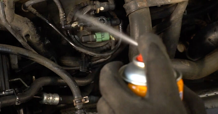 Peugeot 206 2A/C 1.4 HDi eco 70 2000 Kraftstofffilter austauschen: Unentgeltliche Reparatur-Tutorials
