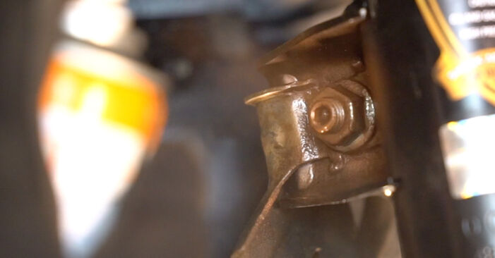 Wie schmierig ist es, selber zu reparieren: Stoßdämpfer beim BMW E87 118 d 2009 wechseln – Downloaden Sie sich Bildanleitungen