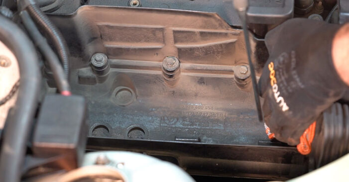 Hinweise des Automechanikers zum Wechseln von ALPINA D10 (E39) 3.0 D Biturbo 2002 Luftfilter