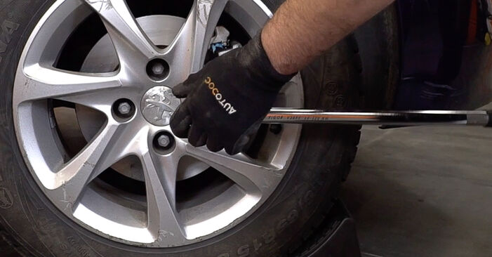 How to change Brake Discs on Peugeot 208 Van 2012 - free PDF and video manuals