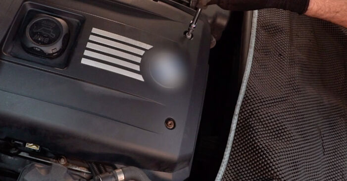 BMW 5 SERIES 530 d xDrive Zündkerzen ersetzen: Tutorials und Video-Wegleitungen online