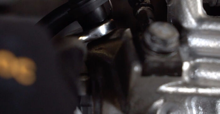 Tauschen Sie Bremssattel beim VW Beetle 9c 2008 2.0 selber aus