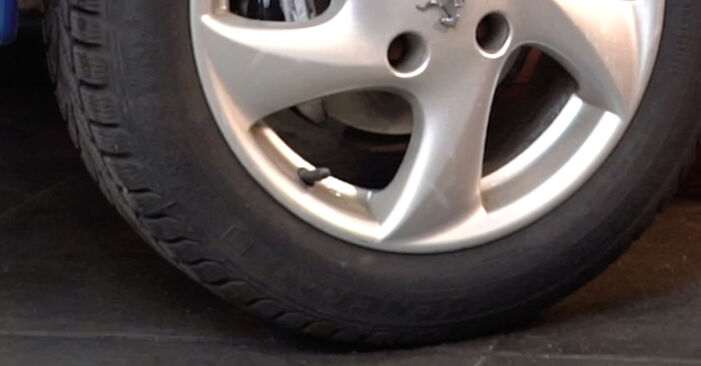 Vanskelighetsgrad: Bytte av Hjullager på Peugeot 206 Sedan 1.4 HDi eco 70 2013 – last ned illustrert veiledning