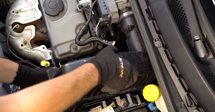 Schrittweise Anleitung zum eigenhändigen Ersatz von Peugeot 207 Limousine 2012 1.9 XSD Luftfilter