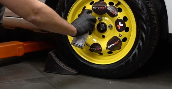 How to replace RENAULT MODUS / GRAND MODUS (F/JP0_) 1.2 2005 Wheel Bearing - step-by-step manuals and video guides