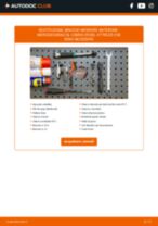 Manuale online su come cambiare Generatore SLK R170