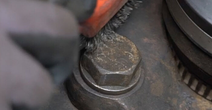 How to change Wheel Bearing on SEAT Alhambra (7V8, 7V9) 2008 - tips and tricks