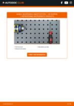 Tiešsaistes rokasgrāmata, kā mainīties Sprieguma regulators uz Skoda Roomster Praktik