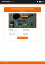 Werkstatthandbuch für Hoggar Pickup 1.4 Flex online