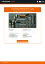 PDF manual sobre manutenção de TRANSIT Custom