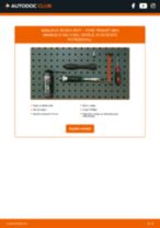 Menjava Svetilka registrske tablice FORD Falcon Mk1 Kombi (BA): vodič pdf