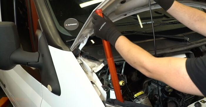 Hoe Radiator FORD TRANSIT MK-7 Bestelwagen 2009 vervangen - advies en uitleg