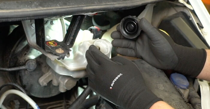 Wie schmierig ist es, selber zu reparieren: Bremssattelhalter beim Ford Transit Mk7 Kastenwagen 2.2 TDCi 2012 wechseln – Downloaden Sie sich Bildanleitungen
