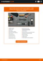 Cambio Calentadores diésel FORD bricolaje - manual pdf en línea