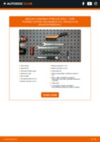 Priročnik PDF o vzdrževanju Tourneo Custom V362 Minibus (F3) 2.0 EcoBlue