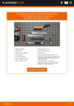 Cambio Soporte estabilizador FORD bricolaje - manual pdf en línea