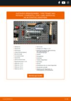 Bremsscheibe gelocht und belüftet FORD Transit Mk6 Pritsche / Fahrgestell (V347, V348, FM, FN, FF) 2006 | PDF Tutorial zum Wechsel