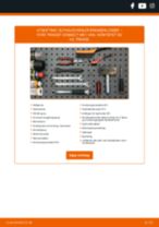 Manuell PDF om TRANSIT CONNECT (P65_, P70_, P80_) 1.8 16V LPG vedlikehold