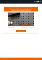FAST FT87315 par Transit Mk6 Autobuss (V347, V348, FD, FB, FS, FZ, FC) | PDF nomaiņas instrukcijas