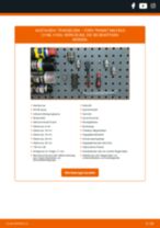 FORD TRANSIT Bus (FD_ _, FB_ _, FS_ _, FZ_ _, FC_ _) Traggelenk: Schrittweises Handbuch im PDF-Format zum Wechsel