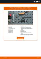 IPSA SPS02135 pre INTERSTAR Skrinka (X70) | PDF návod na výmenu