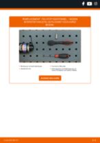 ABAKUS 037-42-870S pour INTERSTAR Camionnette (X70) | PDF tutoriel de changement