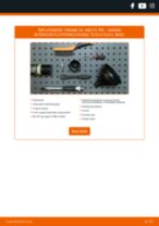 LUCAS LFOE205 for INTERSTAR Platform/Chassis | PDF replacing instruction