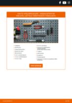 LPR C0368B varten INTERSTAR Umpikori (X70) | PDF vaihto-ohje