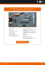 MAPCO 49137 pentru INTERSTAR bus (X70) | PDF manualul de înlocuire