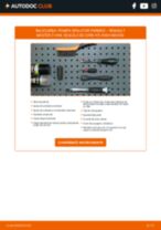 MAXGEAR 45-0019 pentru MASTER II caroserie (FD) | PDF manualul de înlocuire