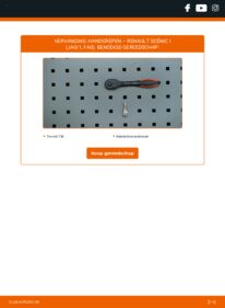 Vervangen: Deurgrepen 1.9 dCi Renault Scenic 1