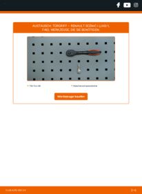 Wie der Ersatz vollführt wird: Türgriff 1.9 dCi Renault Scenic 1