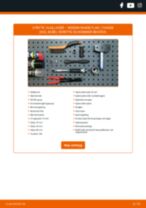 SWAG 33 11 1033 för NV400 Flak / Chassi (X62, X62B) | PDF instruktioner för utbyte