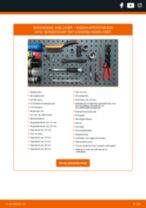 Doe het zelf reparatiehandleiding NISSAN Interstar Bus (X70) 2021