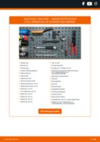 Wie führe ich einen Radlagersatz-Ersatz bei meinem Interstar Kastenwagen (X70) dCi 100 durch? Schritt-für-Schritt-Wegleitungen