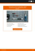 CHAMPION L415/606 para INTERSTAR Autobús (X70) | PDF guía de reemplazo
