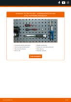 MISFAT F105 dla INTERSTAR nadwozie pełne (X70) | PDF przewodnik wymiany