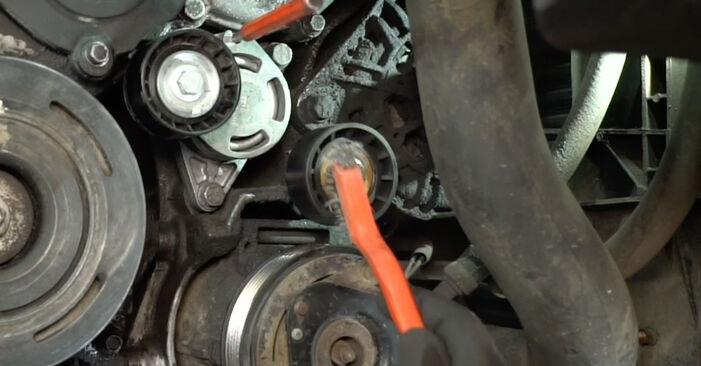 Cambio Correa Poly V RENAULT MASTER 2.5 dCi 2006 no será un problema si sigue esta guía ilustrada paso a paso