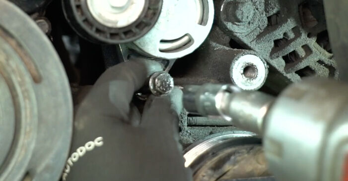 Podrobné odporúčania pre svojpomocnú výmenu Renault Trafic II Valník 2014 2.0 Klinový rebrovaný remen